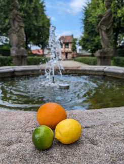 Bild von einem Brunnen in den Hesperidengärten Nürnberg. Vorne im Bild auf der Mauer des Brunnens liegen drei Früchte (Orange, Zirtrone und Limette)